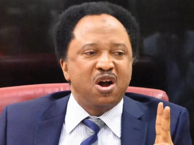 Game up: Yahaya Bello is abandoned by Beauty Queens and Movie Stars – Shehu Sani