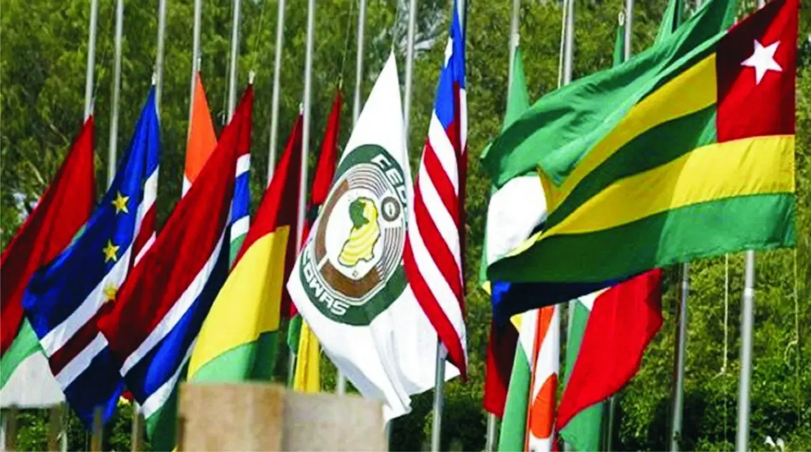 Picture of ECOWAS Leaders Renew Call for United Front Against Terrorism