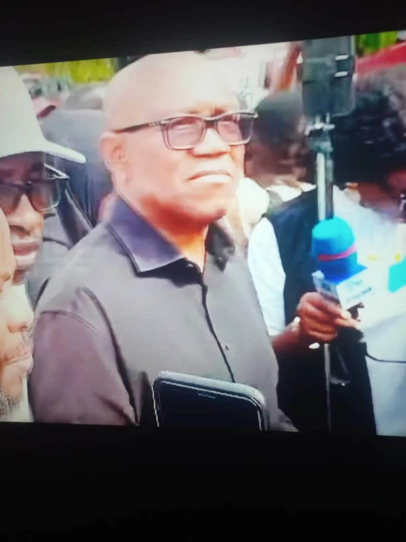 Presidential hopeful Peter Obi and pro-democracy activists protest outside Nigeria’s National Assembly, calling for a review of the Electoral Act Reform Bill.