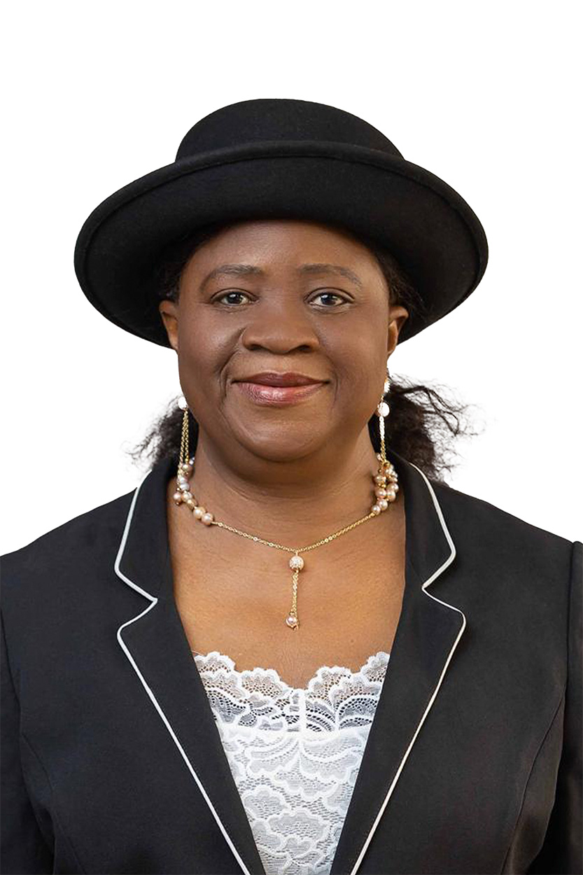 Delta Election Petition Tribunal constituted by Court of Appeal President