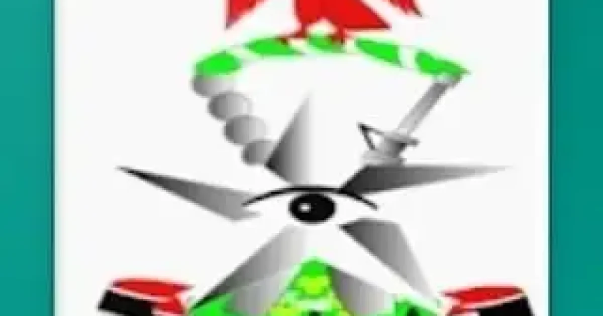 Customs service