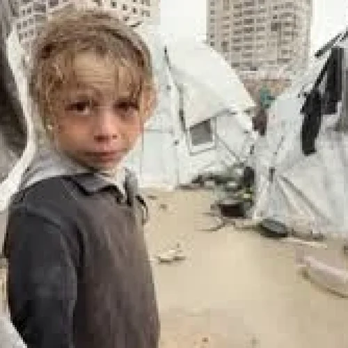 UN Security Council Endorses Trump’s Gaza Peace Plan, Approves Temporary International Force