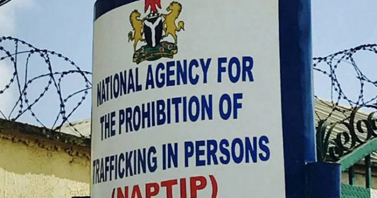 NAPTIP_cropped