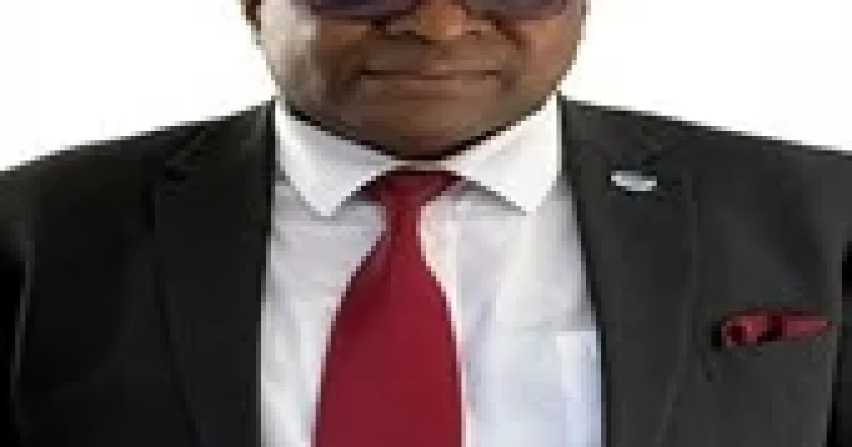 Ambassador Uzo Owunne speaking at an international policy forum in London.